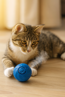 ⭐ O brinquedo que mantém o teu patudo ativo, entretido e longe do tédio