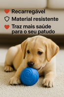 ⭐ O brinquedo que mantém o teu patudo ativo, entretido e longe do tédio