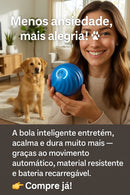 ⭐ O brinquedo que da mais saúde ao teu patudo , entretido e longe do tédio